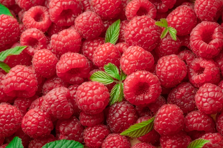 shutterstock_2475253523.jpg