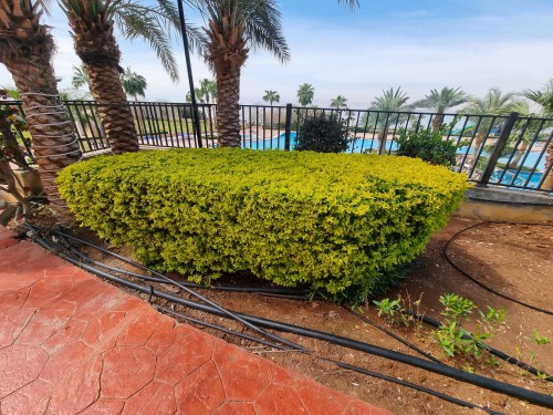 20250303_111403 — kopia.jpg