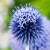 shutterstock_313229489.jpg