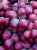 Winogron-Swenson-Red.jpg