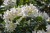 shutterstock_1906593784.jpg