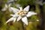 shutterstock_725614783.jpg