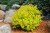 shutterstock_428699575.webp