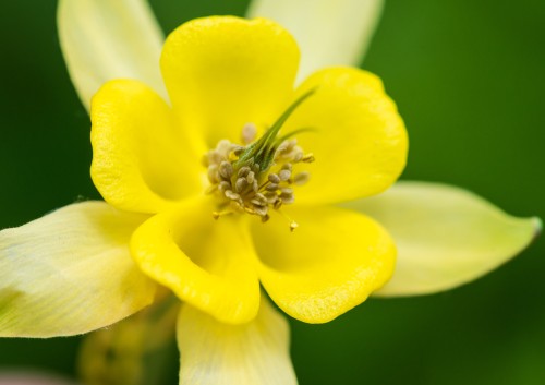 shutterstock_715671232.jpg