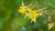shutterstock_756746413.jpg