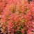 1497500519_w1280_h640_1497500519.webp