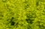 shutterstock_2781736793.jpg