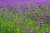 shutterstock_2264983245.jpg