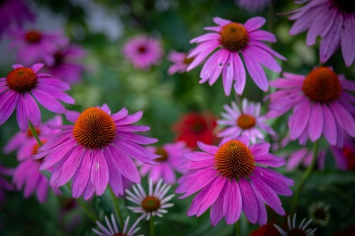 shutterstock_2497014803.jpg